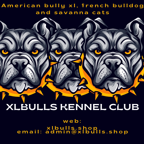 xlbulls.shop the best place to buy American bullies online